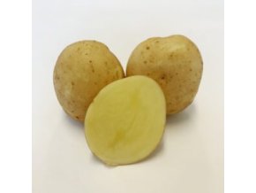 Ester 2026 300x300 katy