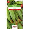 Ibišek jedlý (Okra)