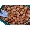 Cibule sazečka šalotka Golden Gourmet