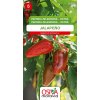 Paprika zeleninová - pálivá - Jalapeňo