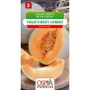 Meloun cukrový - Hales Best Jumbo