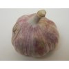 Český sadbový česnek Skalka