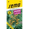 Rajče keříčkové převislé - Tumbling Tom yellow 10s - série MINI