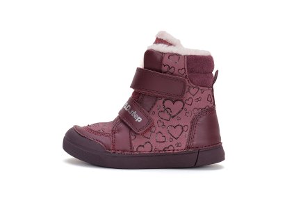 W068 42589 Raspberry 01