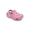 J109 61347F Monet Rose 07
