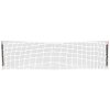gamma pickleball portables netz~3