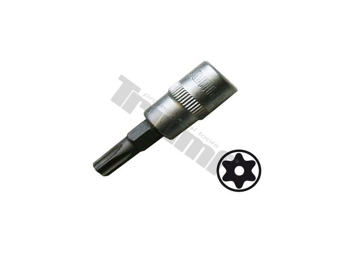 Bit Torx vŕtaný v 3/8" hlavici - T 20