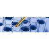 wearchek lead[1]