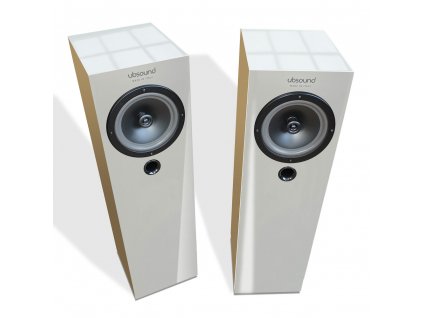 UBSOUND T55 white 1