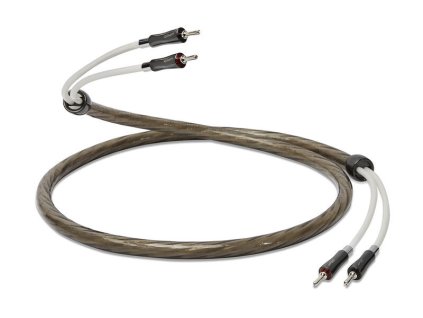 711fbf30 6d7a 4311 a8fa 79e1f58ea8ed,800,600