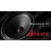 LJEP12 40 Jensen P1240 Blackbird 12 40W 1 2