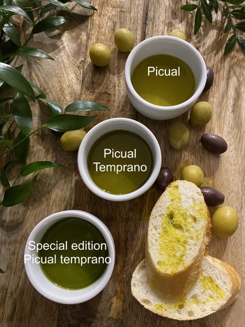 Co znamená u olivového oleje označení Temprano?