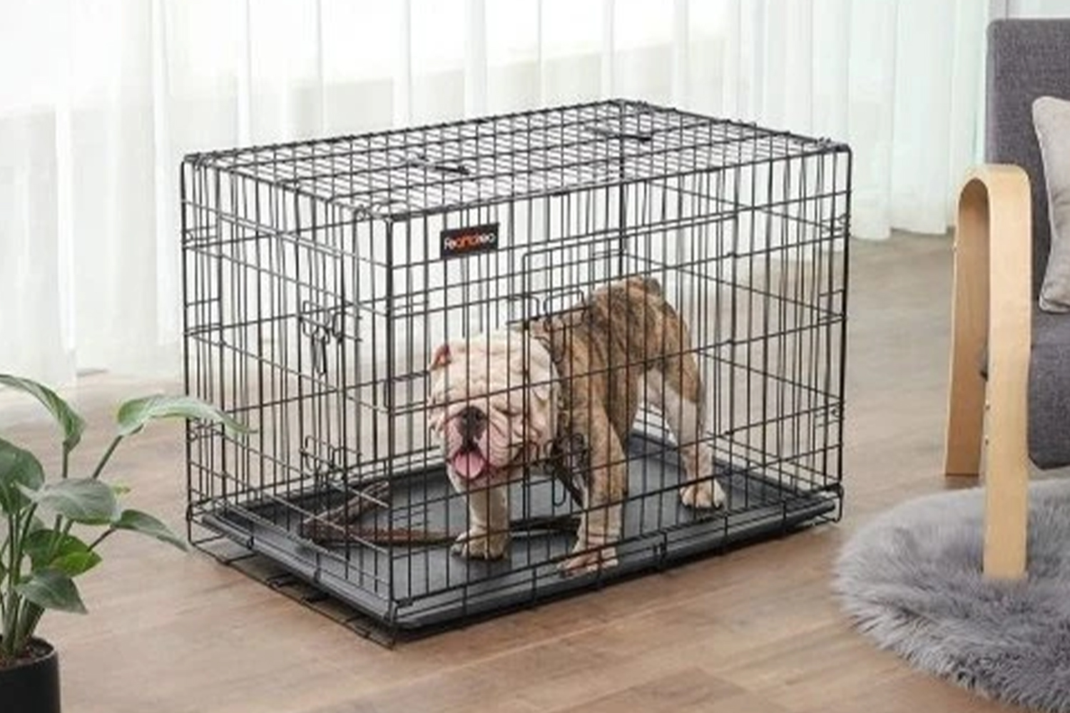 Prenosné klietky pre cestovanie so zvieratami: Na čo si dať pozor?