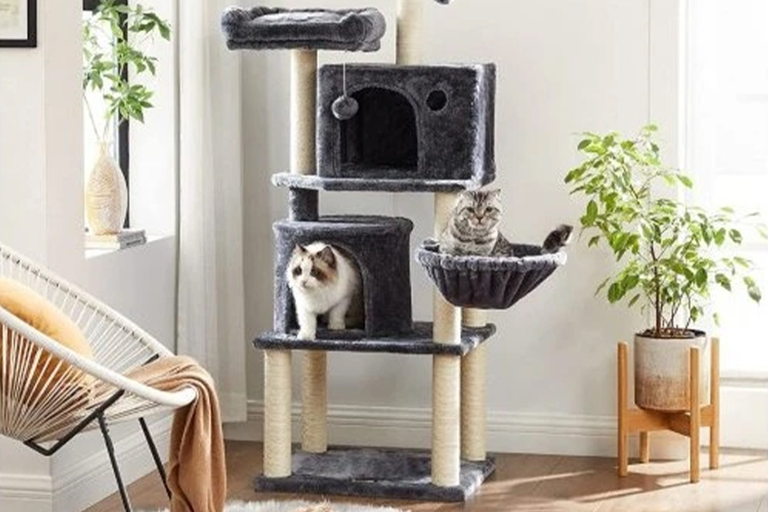 Prečo mačky milujú škrabadlá? Psychológia škrabania a správny výber.