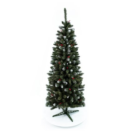 Borovica Iza s červenými bobuľami Slim