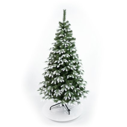 Vianočný stromček Kanadská biela borovica