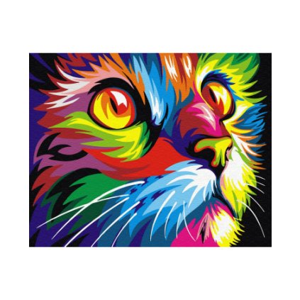 Maľovanie podľa čísel 40x50 cm RAMIZ - mačka