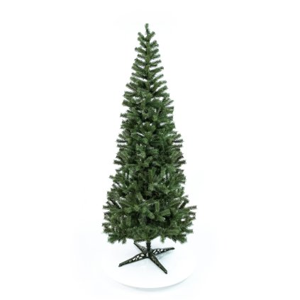 Jedľa Karolina 1,20 m