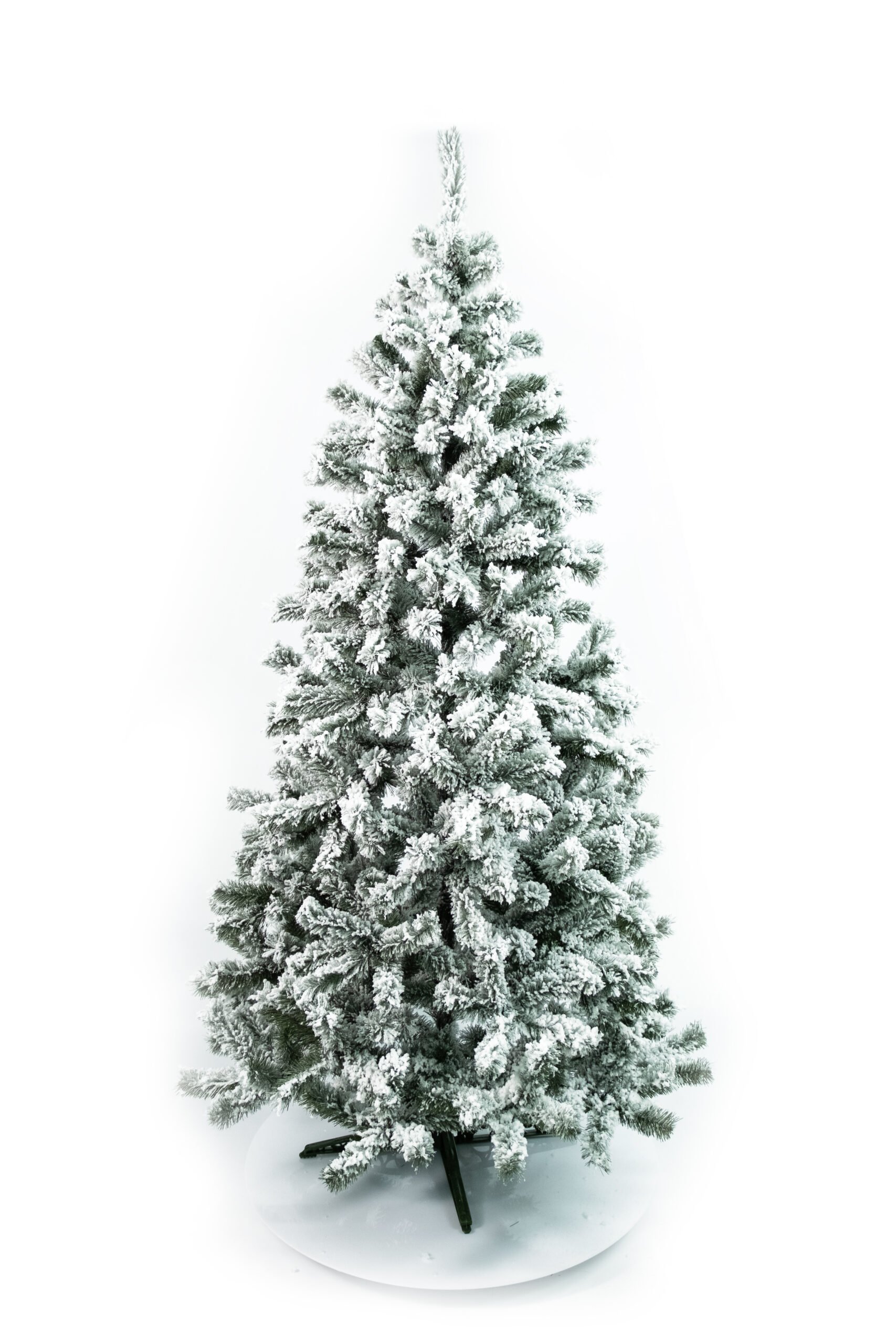 Limpol Jedľa Eliza 2,40 m zasnežená