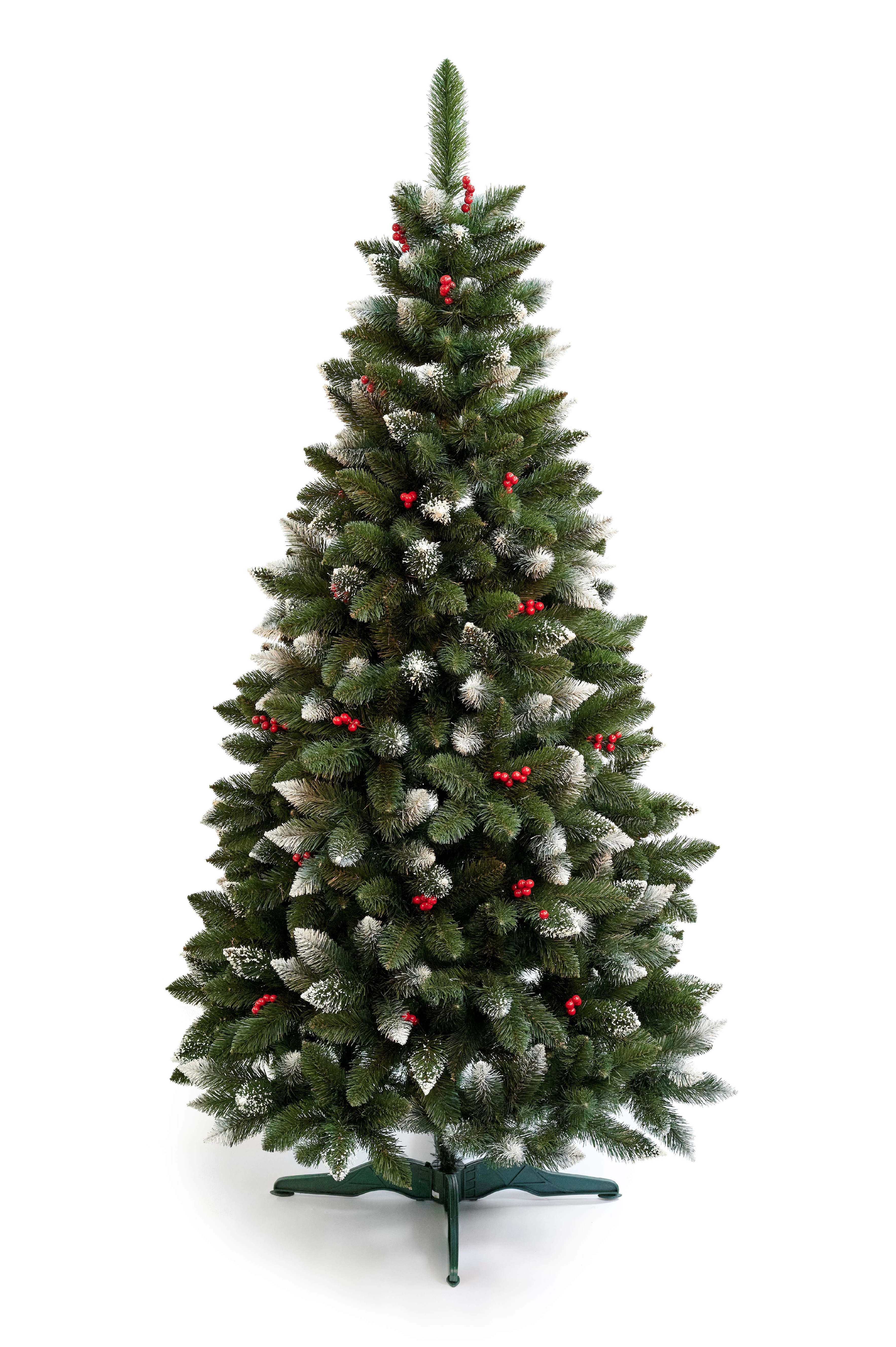 Limpol Borovica Iza s červenými bobuľami 1,50 m