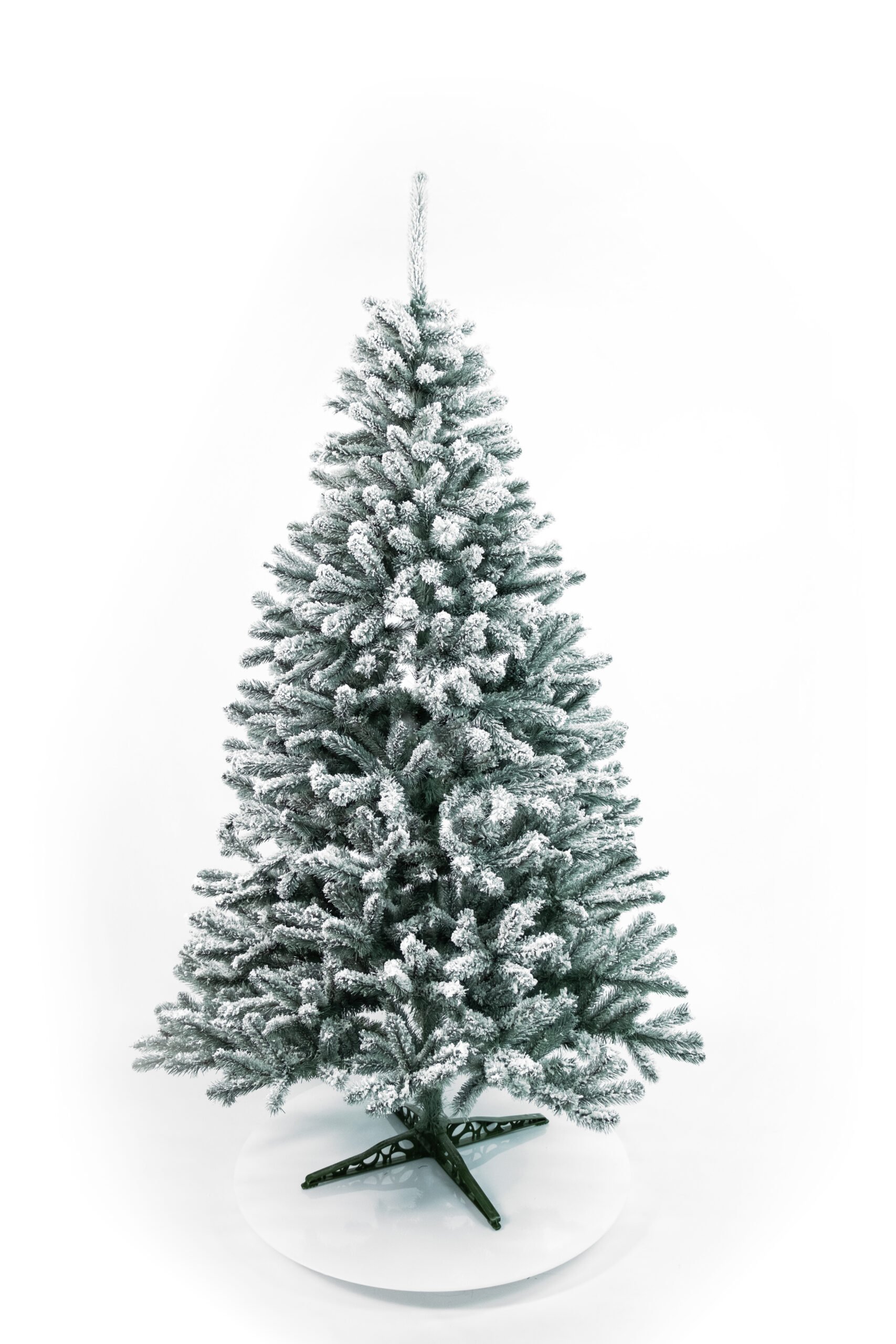 Limpol Jedľa Renata strieborná zasnežená Výška stromčeka: 120 cm