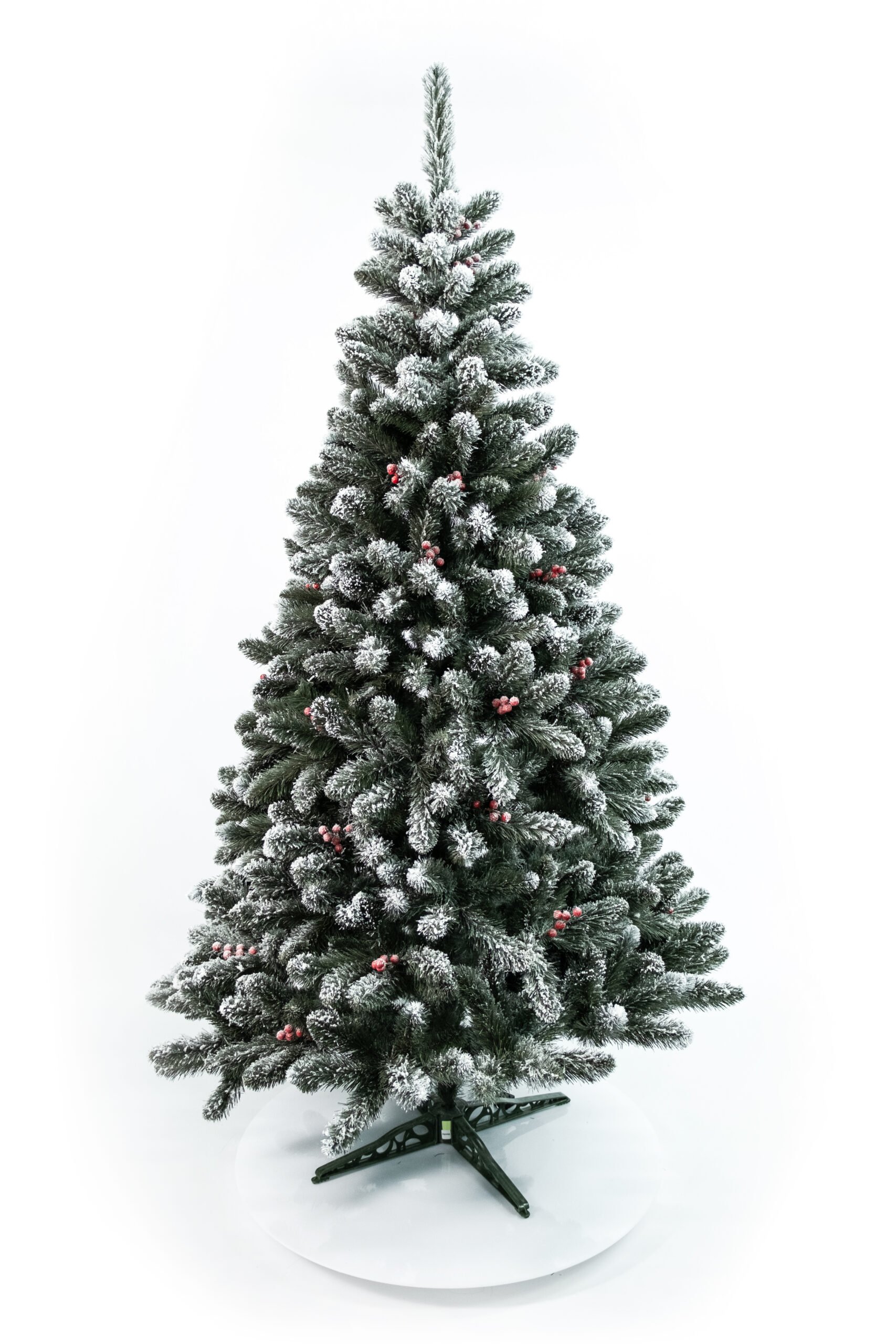 Limpol Borovica Iza s červenými bobuľami zasnežená Výška stromčeka: 220 cm