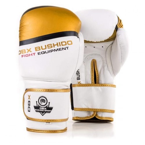 E-shop BUSHIDO SPORT Boxerské rukavice BUSHIDO DBD-B-2 v1 Veľkosť: 10 oz