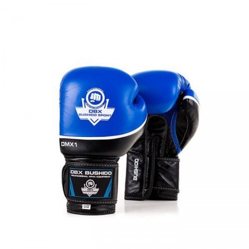 E-shop BUSHIDO SPORT Boxerské rukavice BUSHIDO DBD-B-2v2 Veľkosť: 10 oz