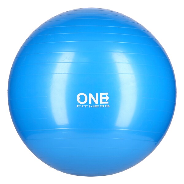 E-shop ONE FITNESS Gymnastická lopta 55 cm HMS Gym Ball - modrá