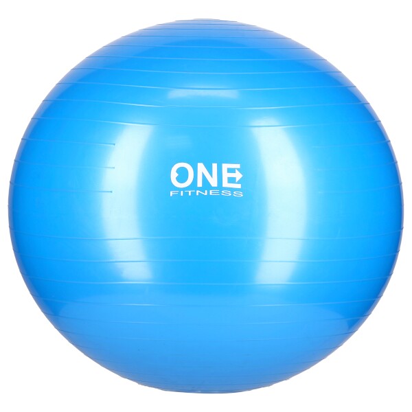 E-shop ONE FITNESS Gymnastická lopta 65 cm HMS Gym Ball 10 - modrá