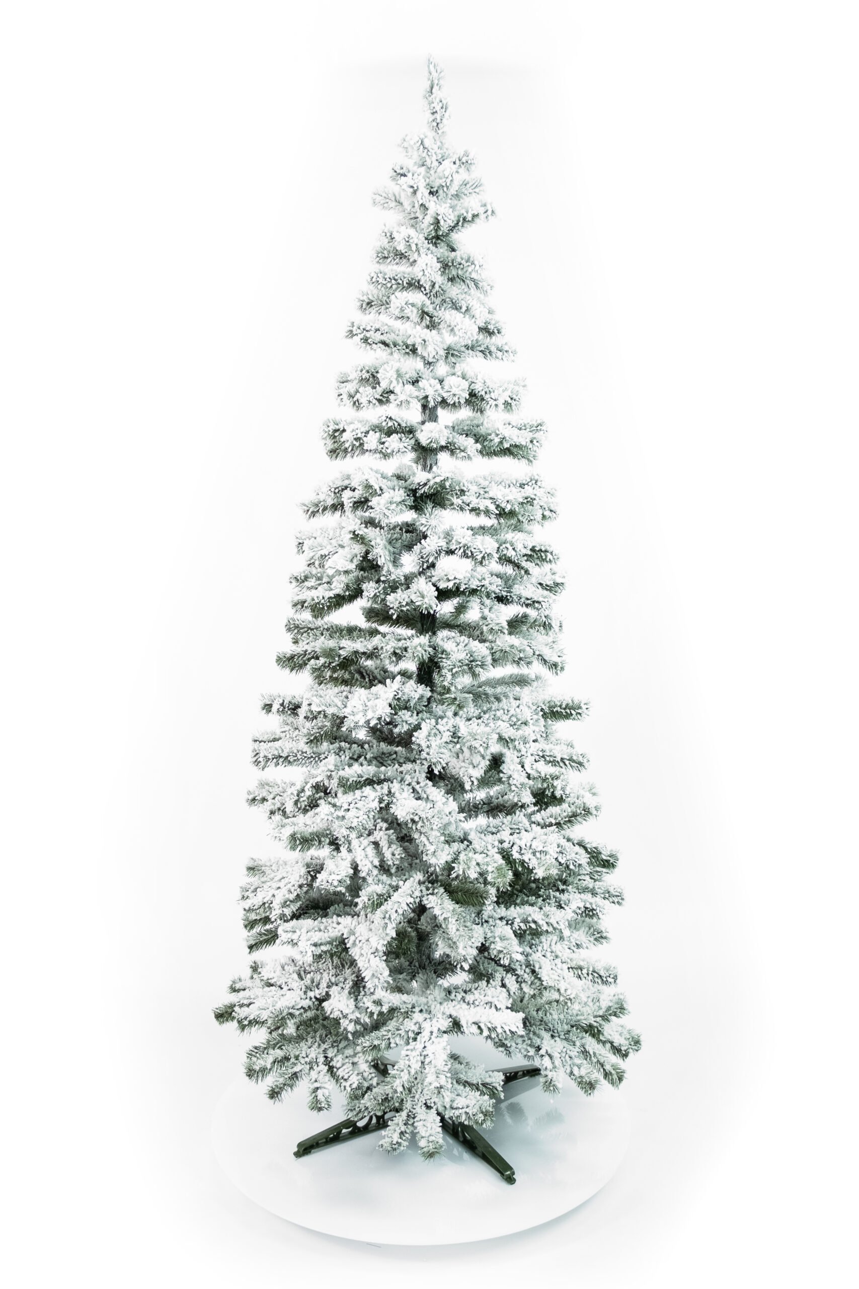 Limpol Vianočný stromček Jedľa Karolína – zasnežená Výška stromčeka: 120 cm