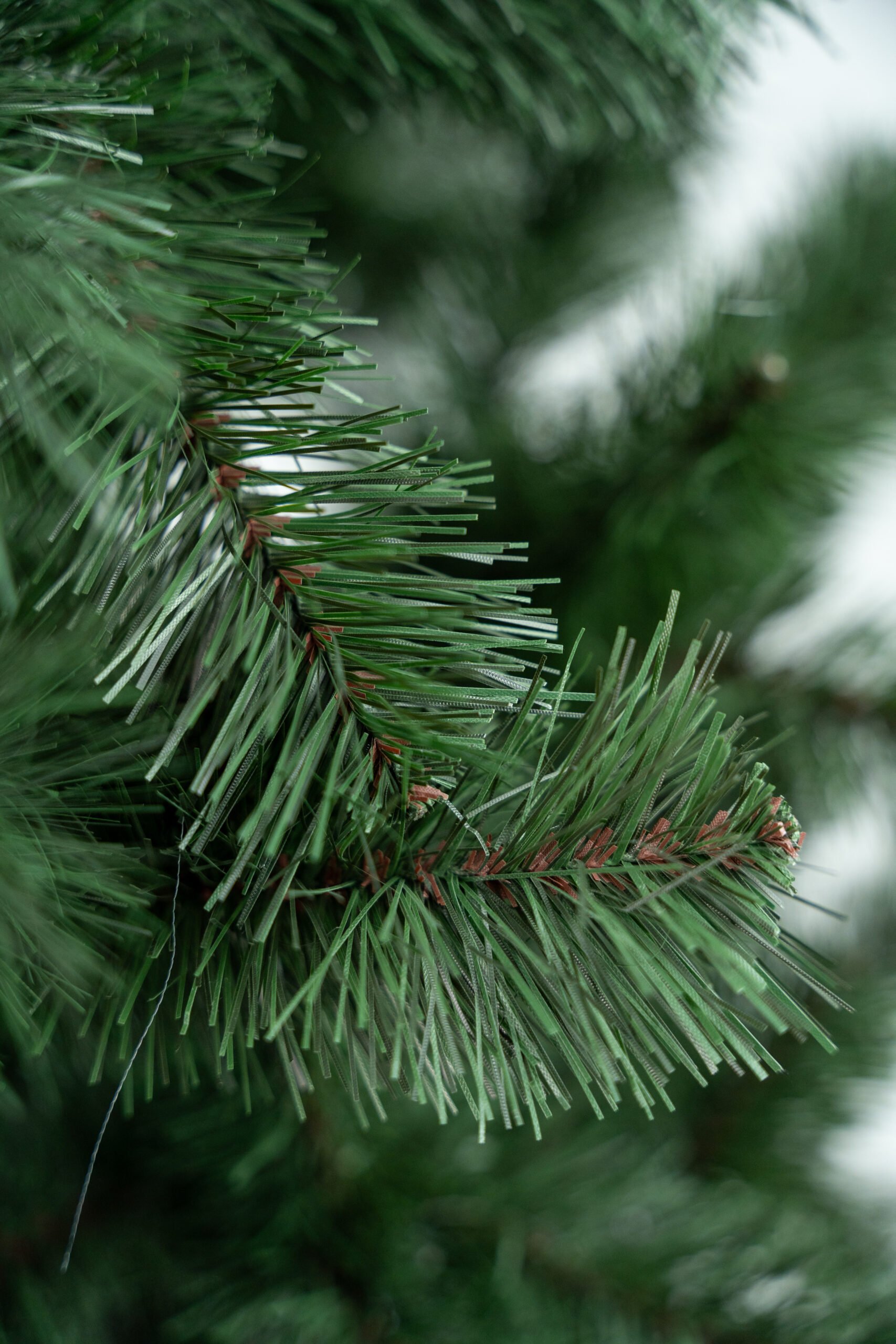 Limpol Jedľa Super Lux 1,20 m