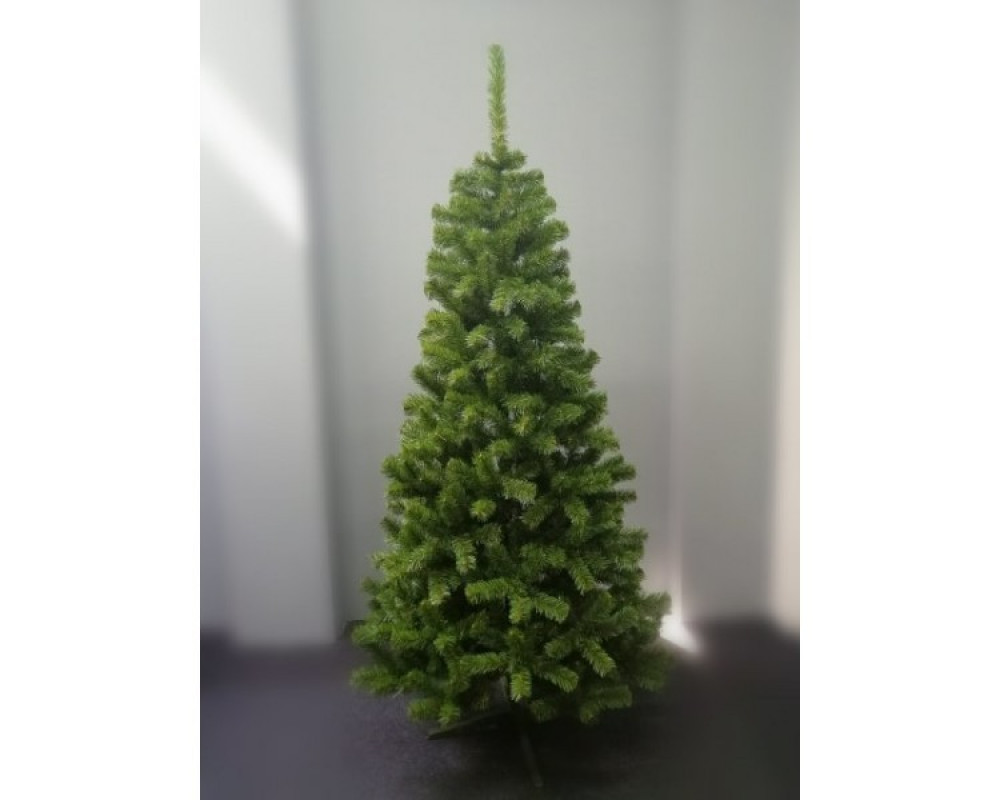 Limpol Jedľa Eliza 2,40 m