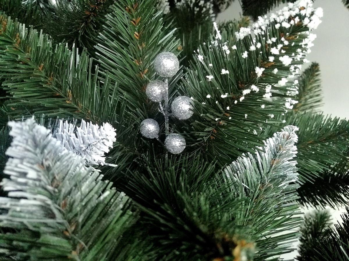 Limpol VIANOČNÝ STROMČEK Borovica Iza Perla Výška stromčeka: 180 cm