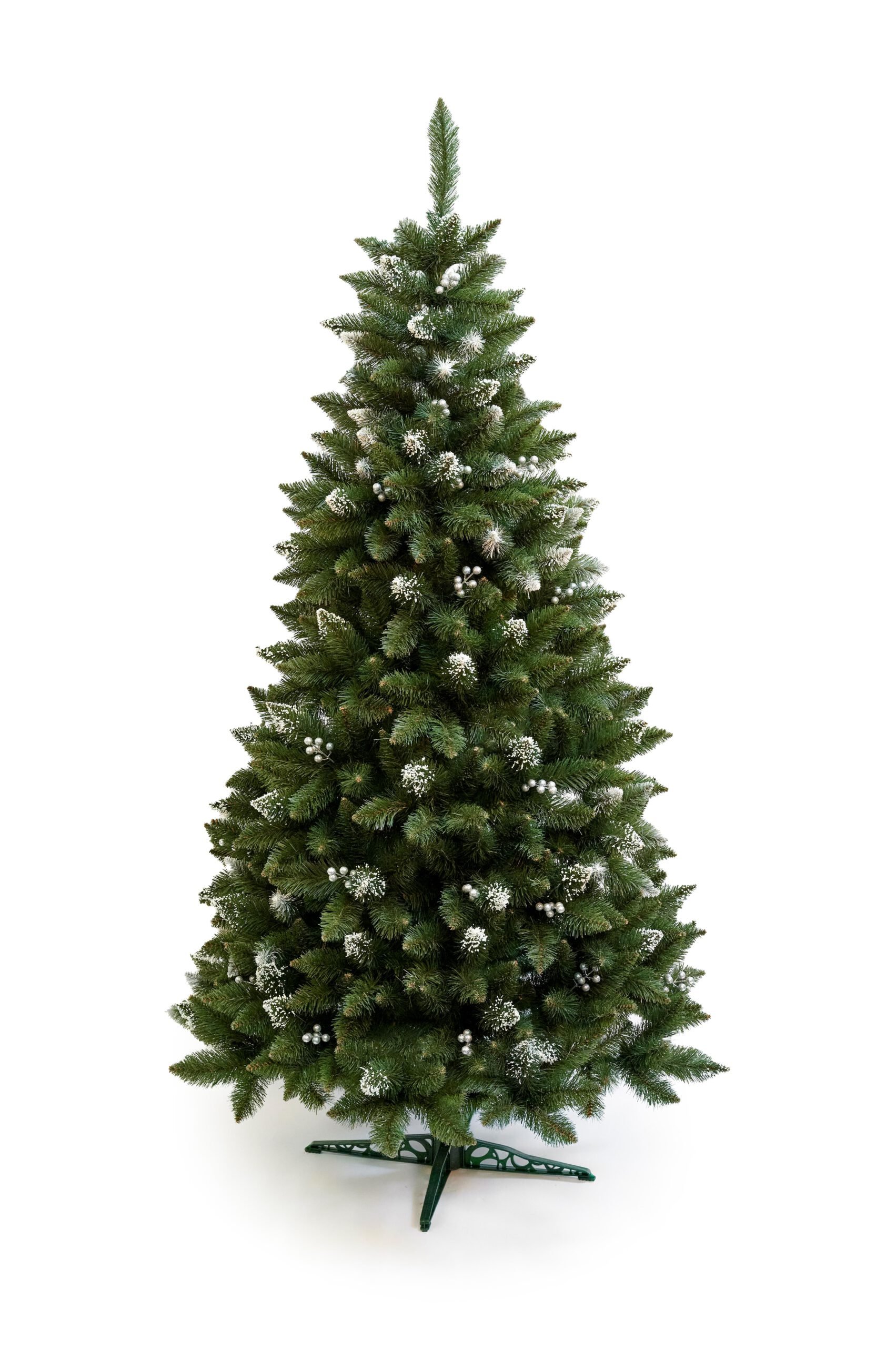 Limpol VIANOČNÝ STROMČEK Borovica Iza Perla Výška stromčeka: 240 cm