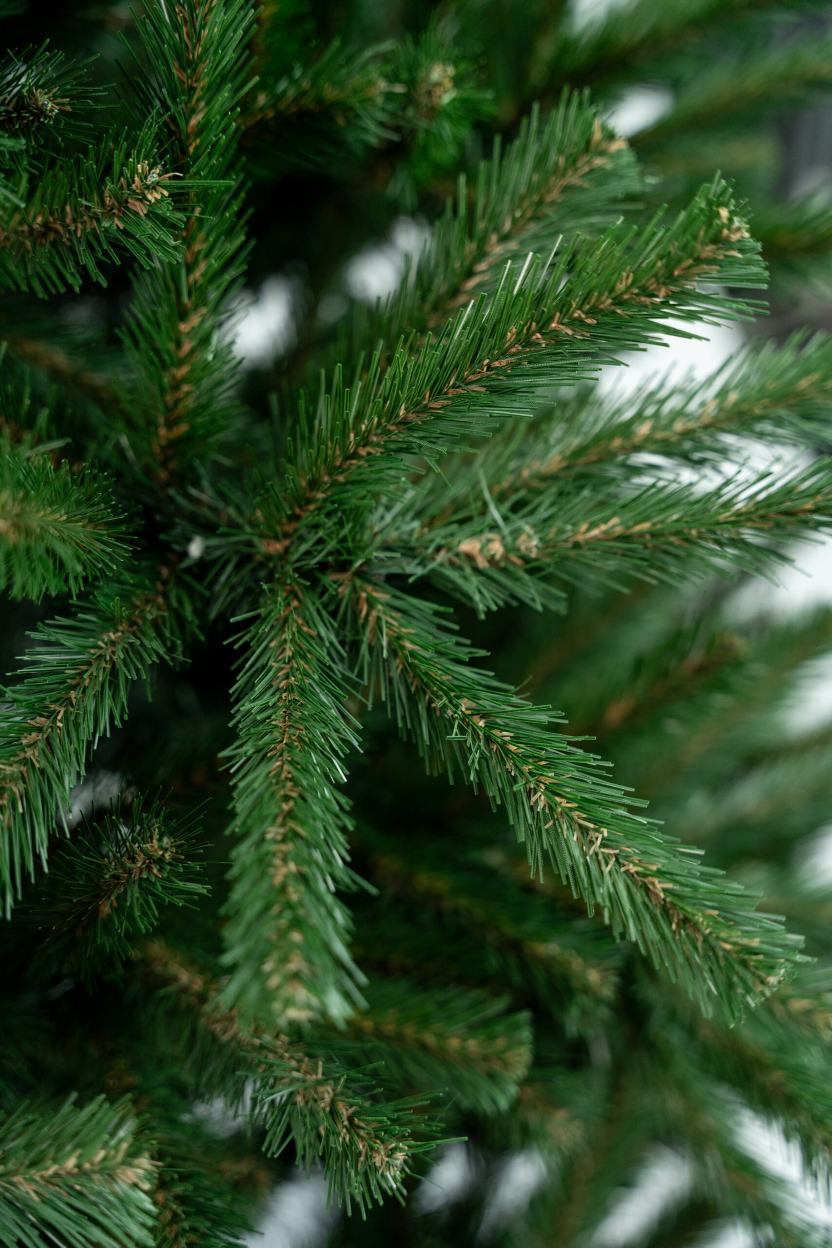 Limpol Smrek Natura 2,40 m