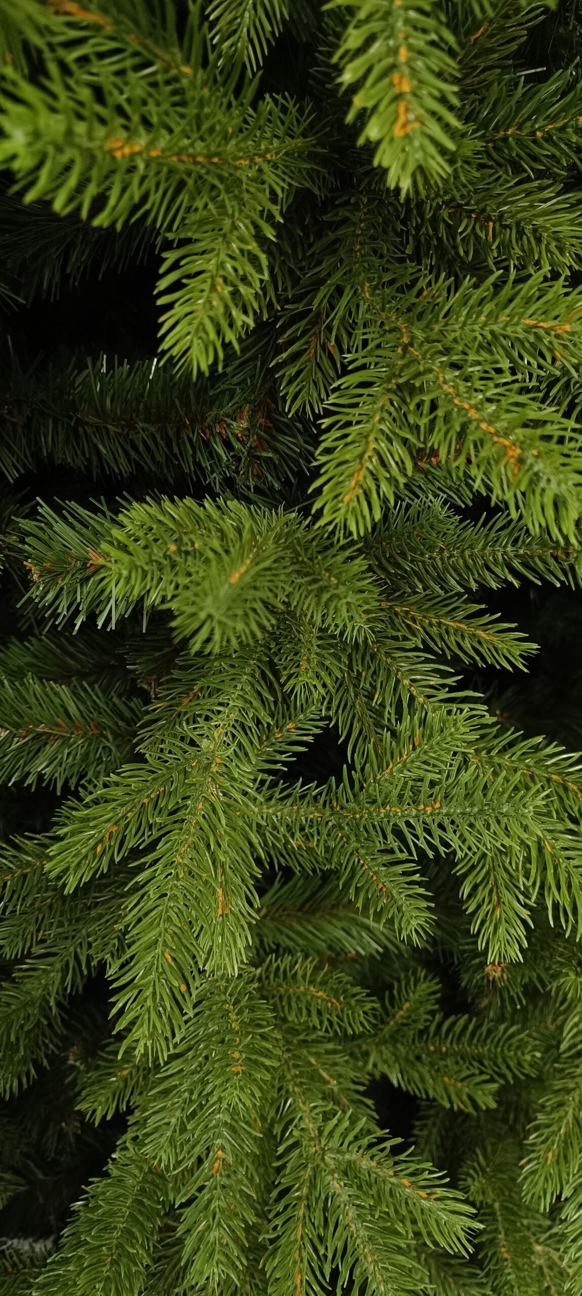 Limpol Vianočný stromček Jedľa Exclusive 150 cm