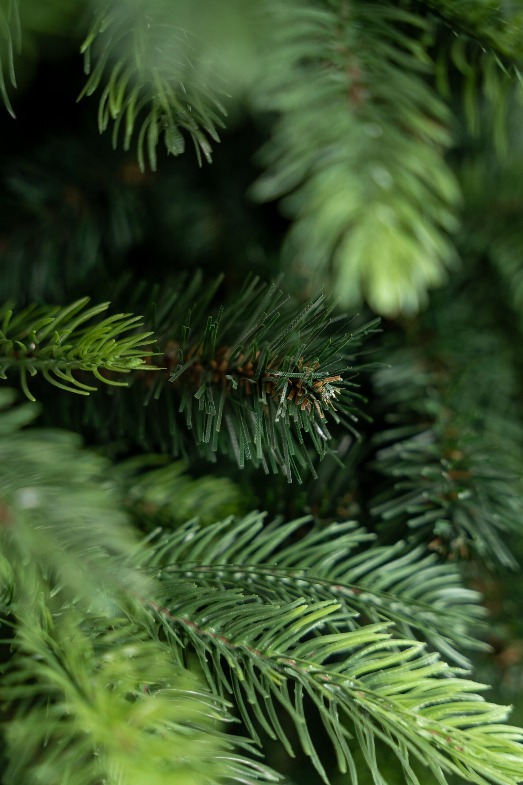 Limpol Umelý vianočný stromček Borovica Nevada Výška stromčeka: 120 cm