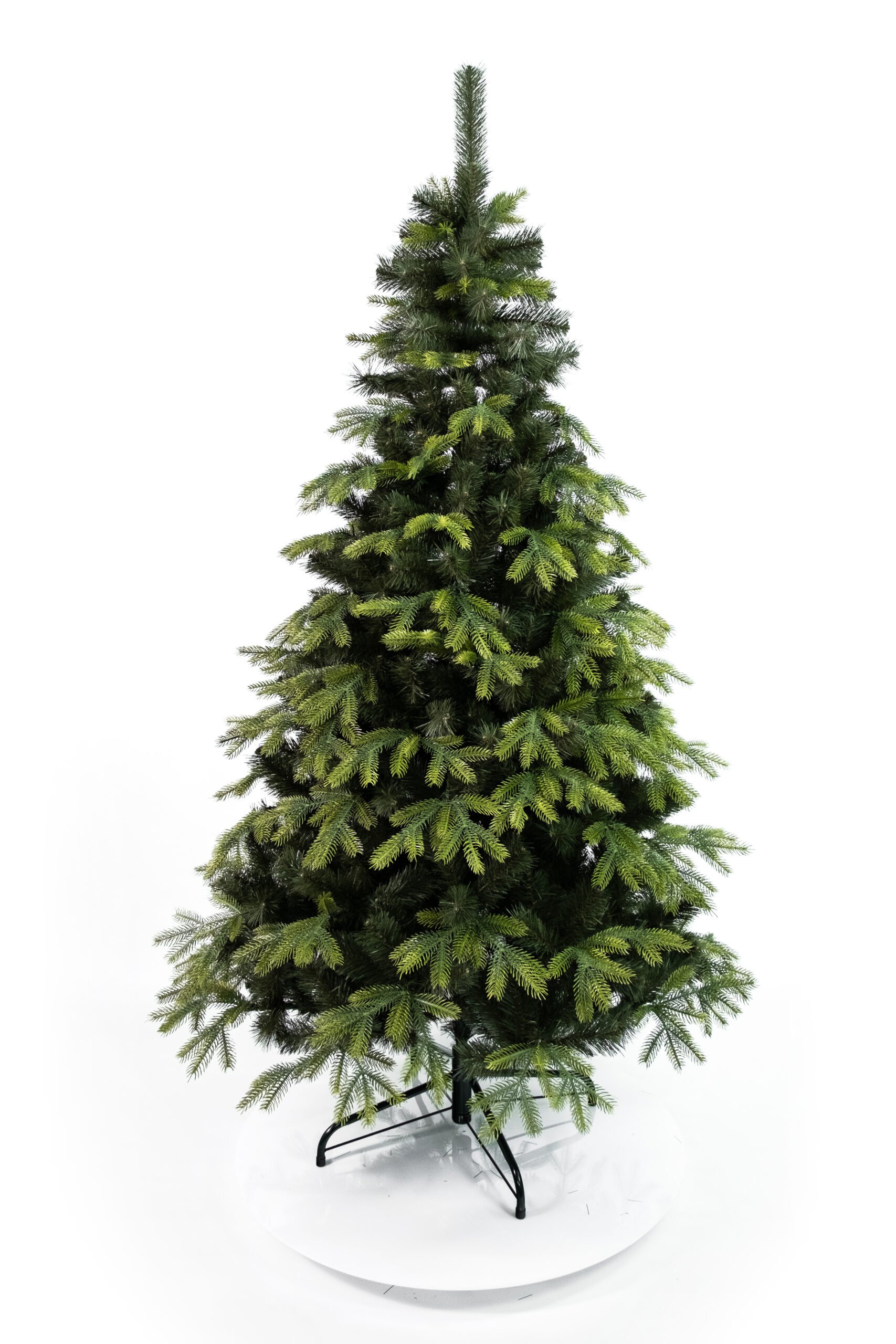 Limpol Kanadská borovica 1,70 m