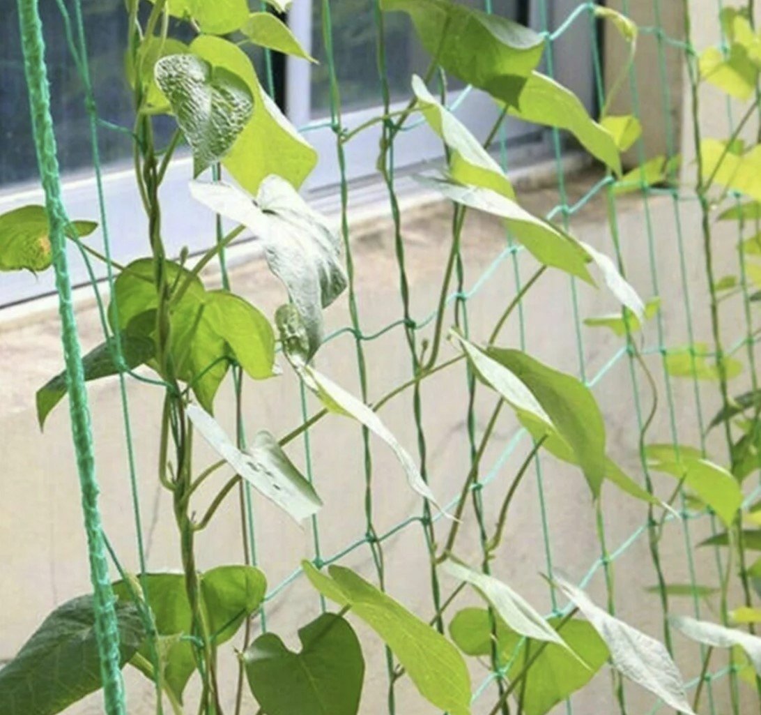 Sieťka na podporu rastlín 2x20m Gardlov 23980