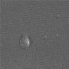 Springos SN0058