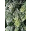 Kanadská zasnežená borovica 1,20 m
