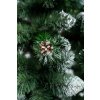 Vianočný stromček Borovica Verona