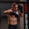 Boxerské rukavice DBX BUSHIDO ARB-415