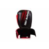 Boxerské rukavice DBX BUSHIDO ARB-415