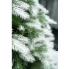 Vianočný stromček Kanadská biela borovica