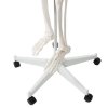 pol pl Szkielet czlowieka 170cm Malatec 22583 16981 3
