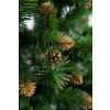 Borovica Verona zlatá 120 cm