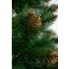 Borovica Verona zlatá 120 cm