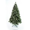 Vianočný stromček borovica Lamia 170 cm